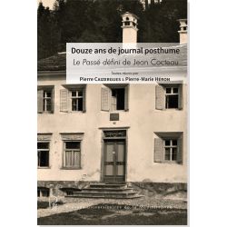 Douze ans de journal posthume